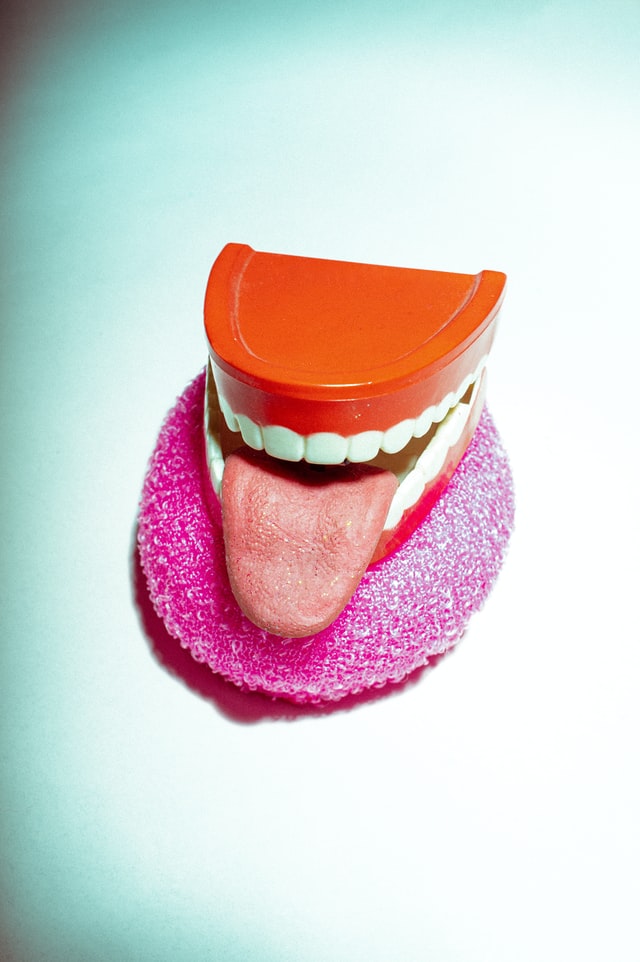 舌と歯
